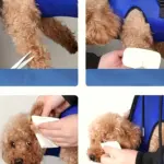 Pet Grooming Hammock for Nail Trimming & Grooming Support with Hanging Strap Design – main image