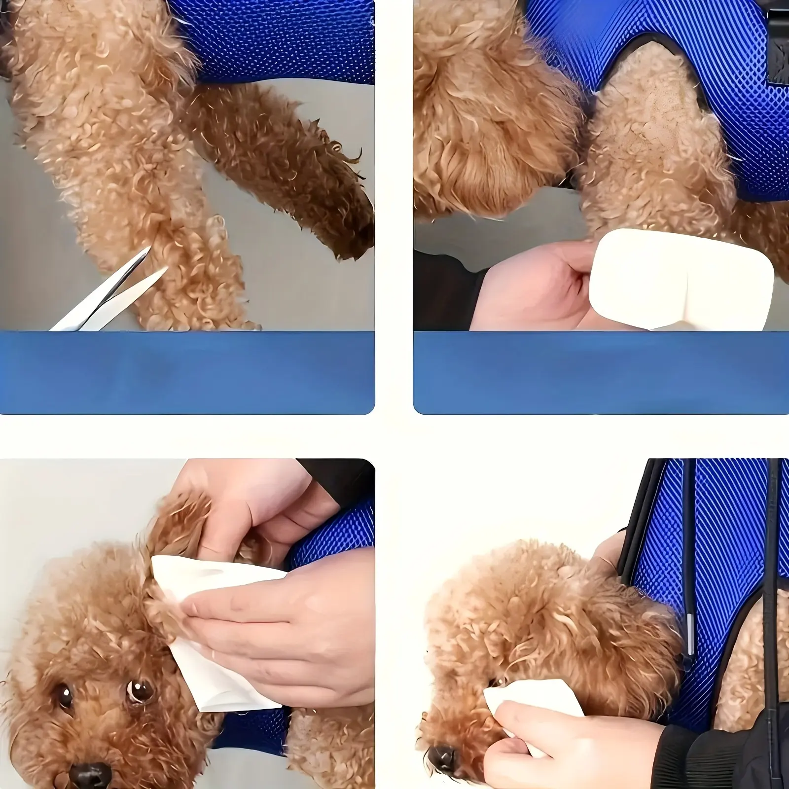 01dc51e2-115e-4cfd-b990-eaafcdc0c09f Pet Grooming Hammock for Nail Trimming & Grooming Support with Hanging Strap Design – main image