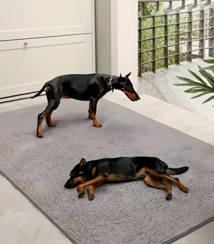 05acb6cb-1af8-42d3-be77-ef79d7d8b076