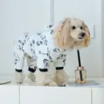 Panda-Themed Hooded Dog Jumpsuit for Warm Wear in Cooler Weather, Coral Fleece – gallery image 2
