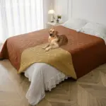 Dog Bed Cover Blanket for Protecting Pet Resting Surfaces with Anti-Slip Backing – gallery image 18