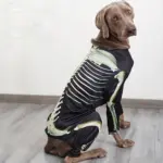 Dog Cooling Suit for Warm-Weather Wear and Breathable Lightweight Fabric – gallery image 3
