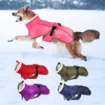 Warm Windproof Dog Jacket for Cold-Weather Wear, Fleece-Lined High Collar – gallery image 6