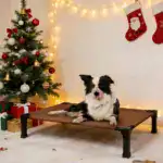 Cooling Elevated Dog Bed for Pet Resting with Breathable Mesh Surface and Metal Frame – gallery image 18