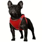 Soft Padded Dog Harness for Walking & Control with Breathable Mesh and Reflective Trim – main image