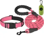 Reflective Pet Leash and Adjustable Nylon Collar for Dog Walking & Control – gallery image 10