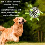 Chew-Resistant Bouncy Dog Toy for Fetch & Interactive Play – gallery image 6