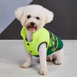 Three-Color Patchwork Padded Pet Coat for Cold-Weather Wear – gallery image 17