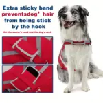 Dog Life Vest for Water Activities and Visibility with Reflective Stripes and Top Handle – gallery image 6