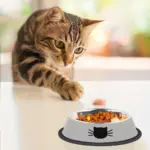 2pcs Stainless Steel Cat Bowls for Pet Feeding with Non-Slip Rubber Base – gallery image 5