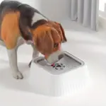 Pet Floating Water Bowl for Drinking Water with Splash-Resistant Design & Anti-Tip Base – gallery image 5