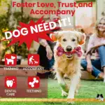 Dog Chew Toy for Chewing & Teething with Nylon and Rubber Construction – gallery image 12