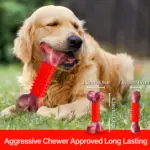 Dog Chew Toy for Chewing & Teething with Nylon and Rubber Construction – gallery image 4