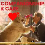 Dog Chew Toy for Chewing & Teething with Nylon and Rubber Construction – gallery image 11