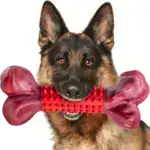 Dog Chew Toy for Chewing & Teething with Nylon and Rubber Construction – gallery image 9