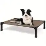 Cooling Elevated Dog Bed for Pet Resting with Breathable Mesh Surface and Metal Frame – gallery image 11