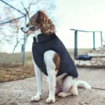 Thickened Dog Vest for Cold Weather Wear and Outdoor Use – gallery image 9