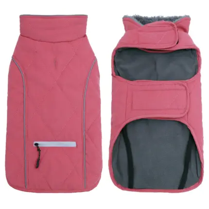 1c0b51d5-000b-4901-98e9-765164e04ca2