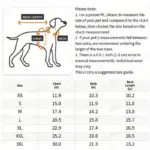 Three-Color Patchwork Padded Pet Coat for Cold-Weather Wear – gallery image 4