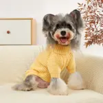 Pet Turtleneck Sweater for Warmth & Everyday Wear, Thick Knit Pullover – gallery image 11