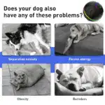 Smart Bouncing Ball for Interactive Pet Play and Motion-Activated Rolling Design – gallery image 12