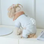 Thickened Pet Bodysuit for Warm Wear in Cool Weather with Snap Button Closure – gallery image 10