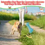 Squeaky Dog Chew Toy for Sound-Activated Play and Chewing – gallery image 11