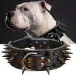Rivet Dog Collar for Pet Walking & Control with Wolf Tooth Spike Design – gallery image 6