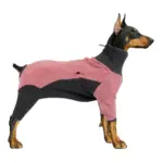 Dog Bodysuit for Warmth & Shedding Control with Contrast Color Design – gallery image 3