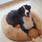 Plush Round Dog Bed for Resting & Sleeping with Deep Bolstered Shape – main image