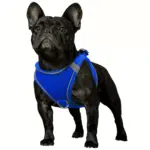 Soft Padded Dog Harness for Walking & Control with Breathable Mesh and Reflective Trim – gallery image 17