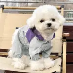 Pet Raincoat for Outdoor Wear in Wet Weather with Four-Leg Coverage and Contrast Color Panels – gallery image 5