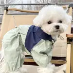 Pet Raincoat for Outdoor Wear in Wet Weather with Four-Leg Coverage and Contrast Color Panels – gallery image 9