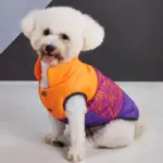 Three-Color Patchwork Padded Pet Coat for Cold-Weather Wear – gallery image 15