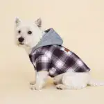 Hooded Color-Block Pet Jacket for Outdoor Wear in Cool Weather and Machine-Washable Design – gallery image 7