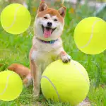 Inflatable Large Tennis-Style Ball for Interactive Pet Play & Training – gallery image 5