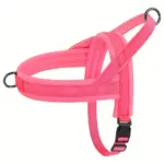 Soft Padded Dog Harness for Walking & Leash Control, Adjustable Vest Style – gallery image 2