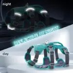 Adjustable Escape-Resistant Dog Harness for Walking & Leash Control with Front and Back Clip Points – gallery image 10