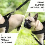 Soft Padded Dog Harness for Walking & Leash Control, Adjustable Vest Style – gallery image 13