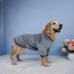 Large Dog Round Neck Sweatshirt for Warmth and Everyday Wear, Soft Stretch Fabric – gallery image 2