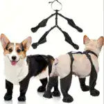 Dog Paw Boot Leggings for Outdoor Walking in Wet Weather with Anti-Slip Sole – gallery image 5