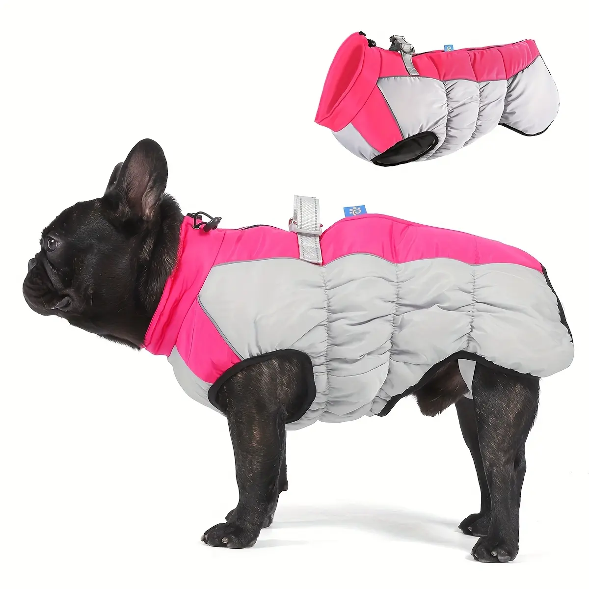 3b48dc3c-06bf-474c-bffe-0bdb4674a444 Dog Winter Jacket for Cold Weather Wear with Windproof Design & Reflective Detail – main image