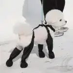 Dog Paw Boot Leggings for Outdoor Walking in Wet Weather with Anti-Slip Sole – gallery image 3