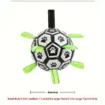 Chew-Resistant Bouncy Dog Toy for Fetch & Interactive Play – gallery image 4