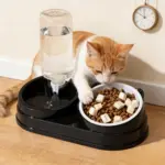 3-in-1 Pet Feeder and Automatic Water Dispenser for Cat and Dog Feeding with Non-Slip Tilted Bowl – gallery image 11