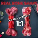 Dog Chew Toy for Chewing & Teething with Nylon and Rubber Construction – gallery image 6