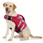 Dog Life Vest for Water Activities and Visibility with Reflective Stripes and Top Handle – gallery image 2