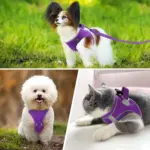 Soft Padded Dog Harness for Walking & Control with Breathable Mesh and Reflective Trim – gallery image 14