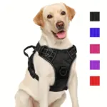 Dog Harness for Training and Walking with Reflective Trim and Top Control Handle – main image