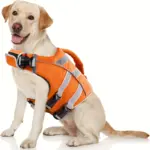 Dog Life Vest for Water Activities and Visibility with Reflective Stripes and Top Handle – main image